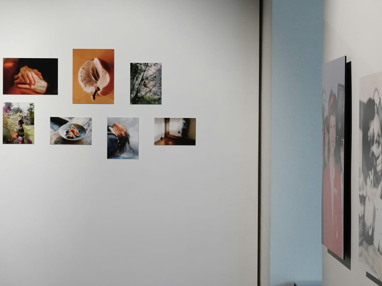A small selection of photographs hung on a white gallery wall