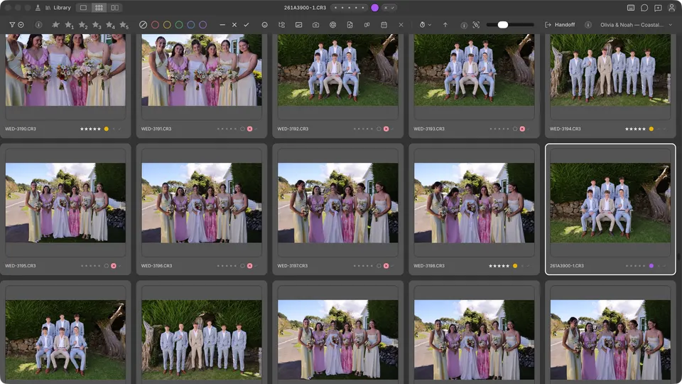 Grid shows the whole shoot as a contact sheet.