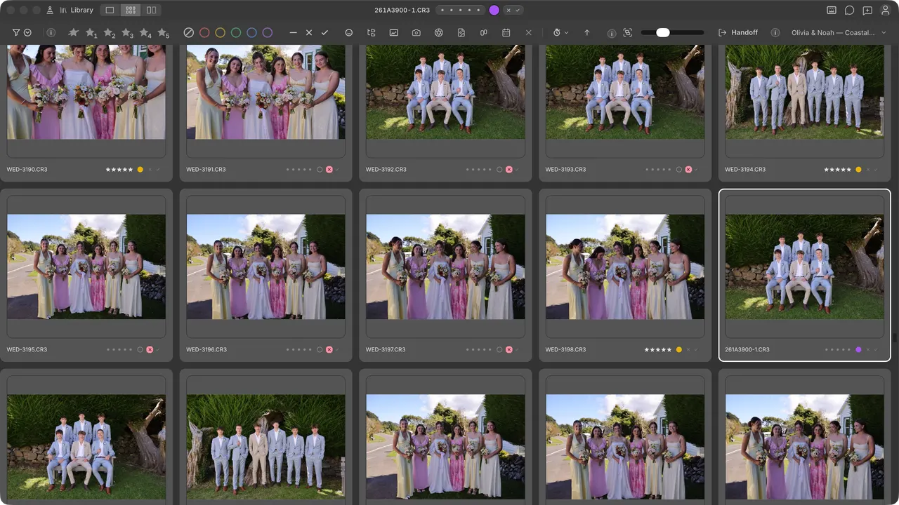 Cullibrate grid view showing a varied professional photo collection.