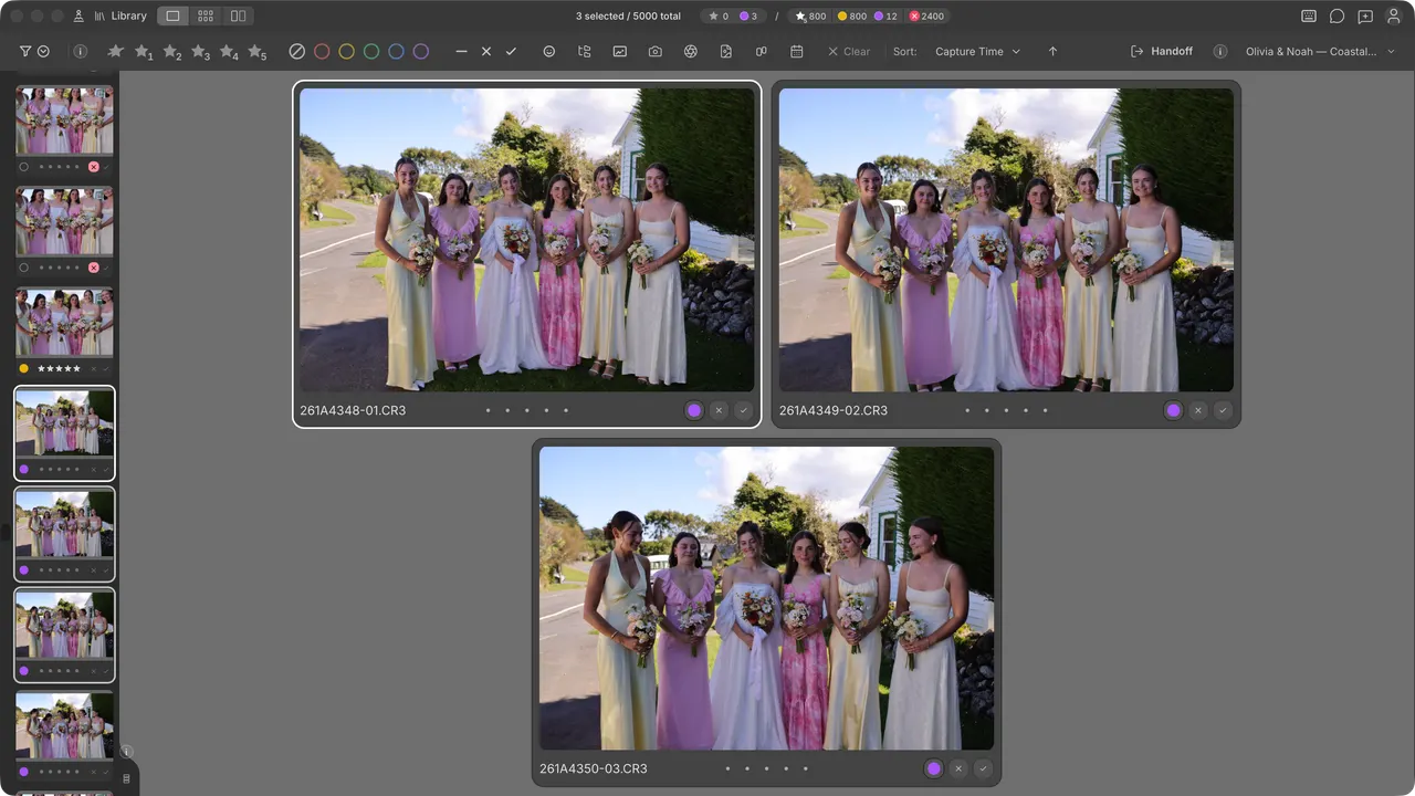 Cullibrate survey view comparing three selected photographs.